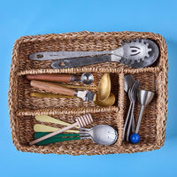 Nicolas Vahé Naba Organizer, natur