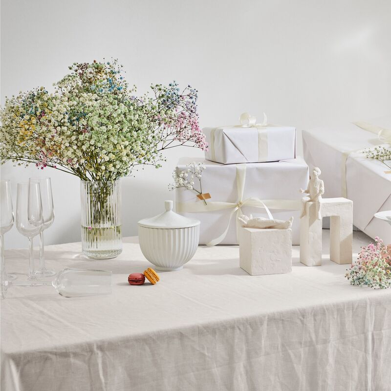 Astro Tvilling stjernetegnsfigur, hvid