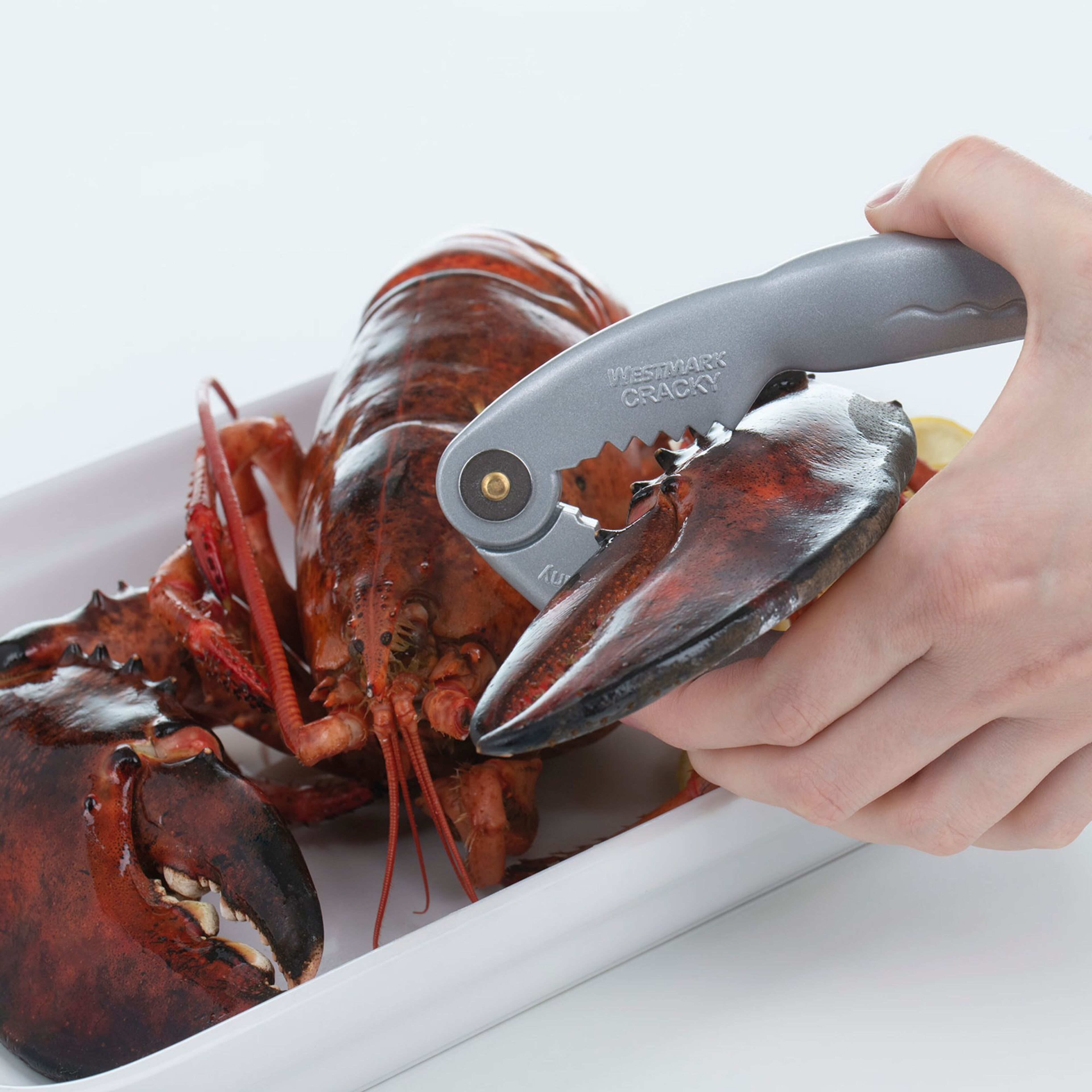 westmark-66002270-54819-3