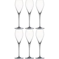 Special Glasses champagneglas 25 cl 6-pak