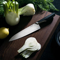 Fiskars Taiten kokkekniv stor, 20 cm