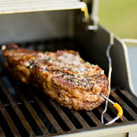 Spirit II E-310 GBS Gassgrill