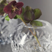 Carat Globe-vase Lille