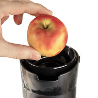 Gastroback Vita Fresh Slow Juicer