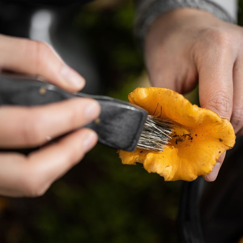 Svampkniv med borste