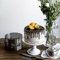 Kagedeler justerbar 18-20 cm, rustfrit stål
