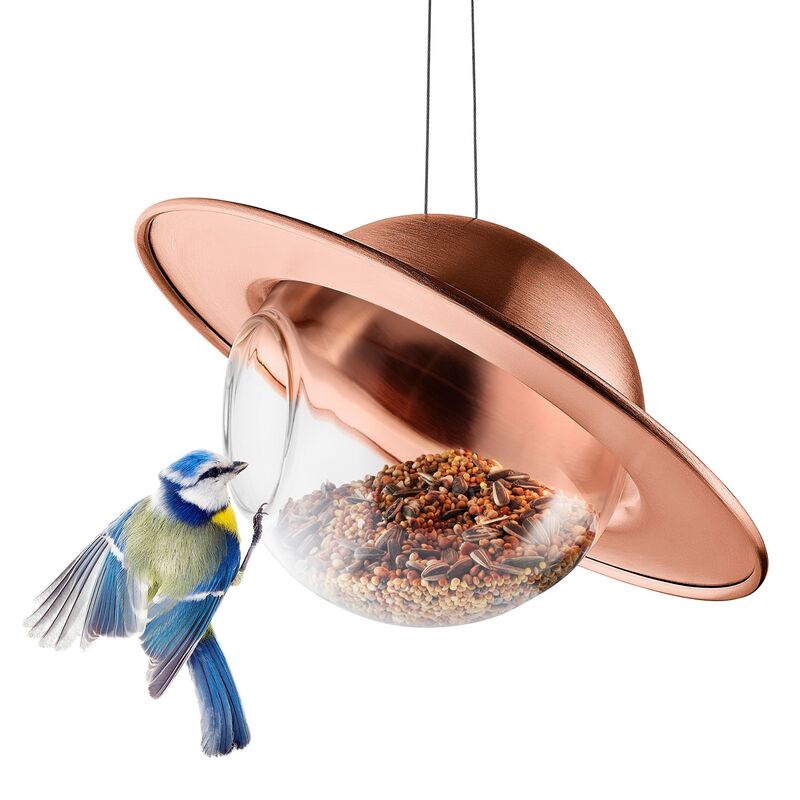 Saturn lintulauta, kupari