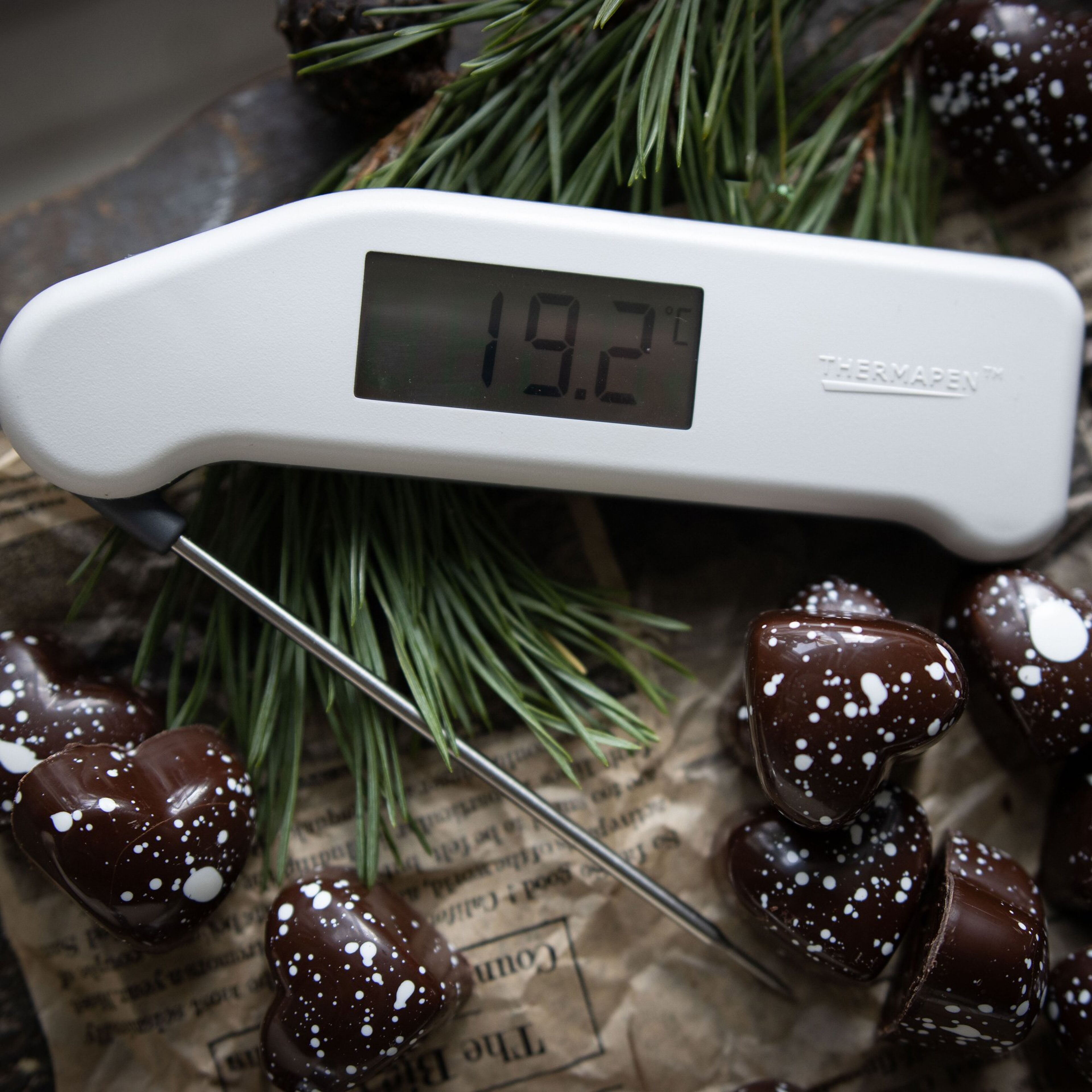 thermapen-eti-classic-termometer-hvid-231-217-44751-5