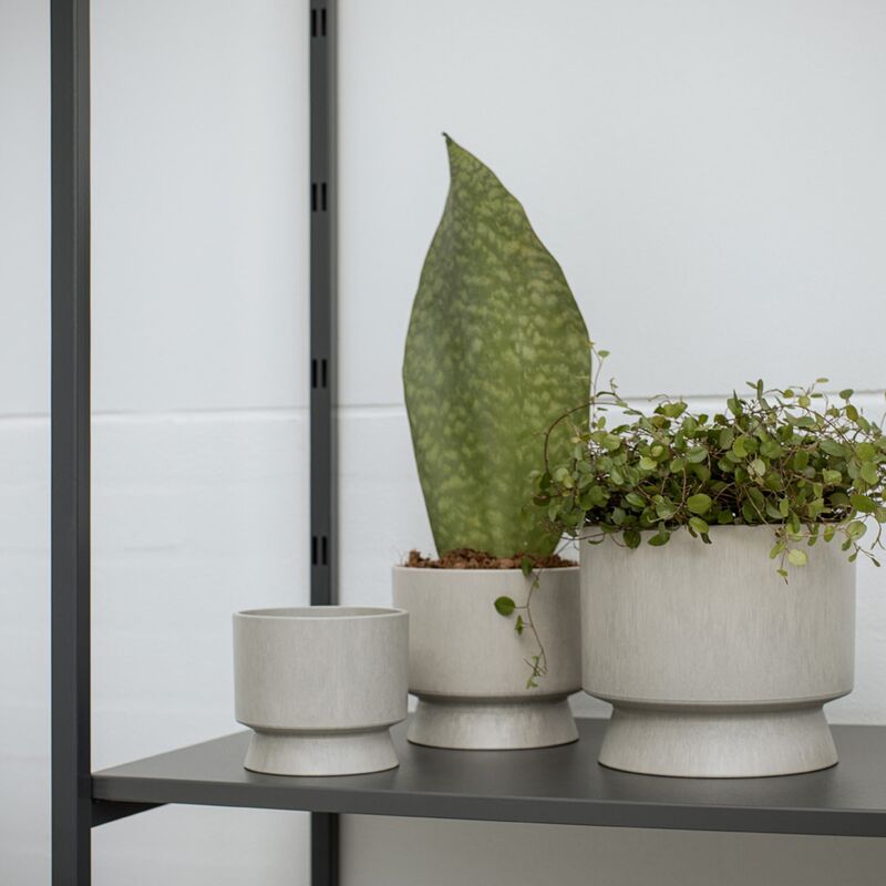 blomkruka sand 15 cm.