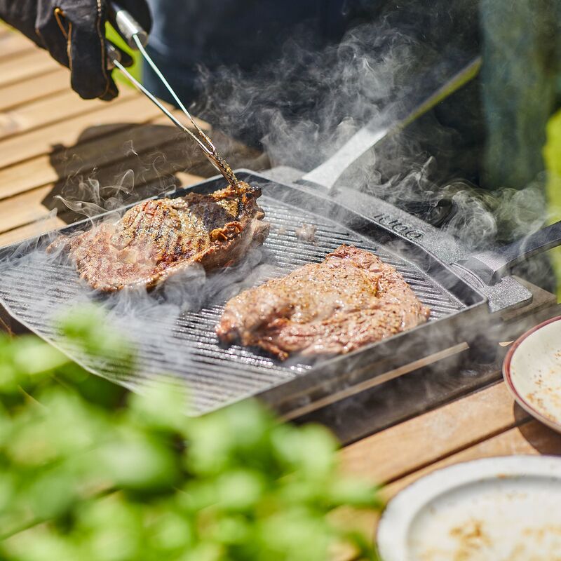 Dubbelsidig grizzler