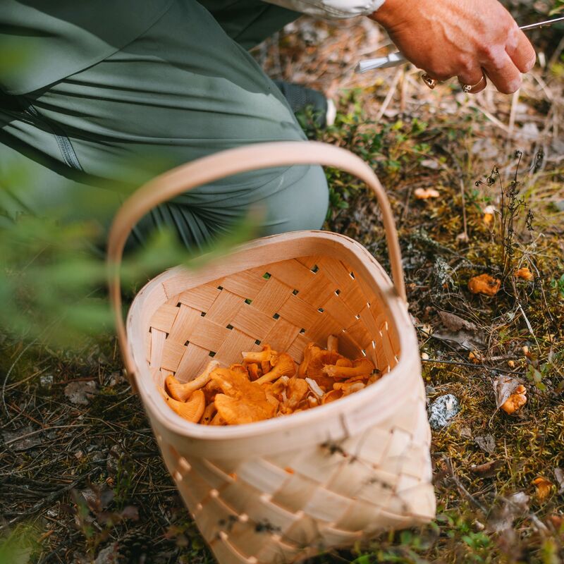 Bærkurv small, 3 stk.