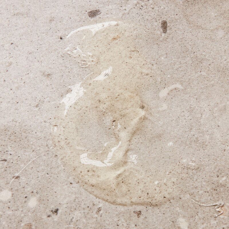 Käsisaippua 490 ml, meadow bliss 