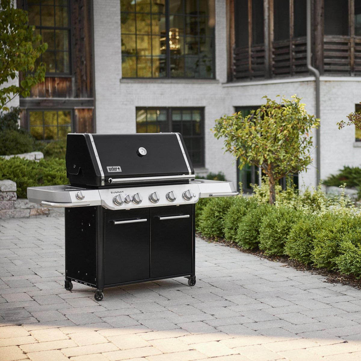 Summit E gassgrill
