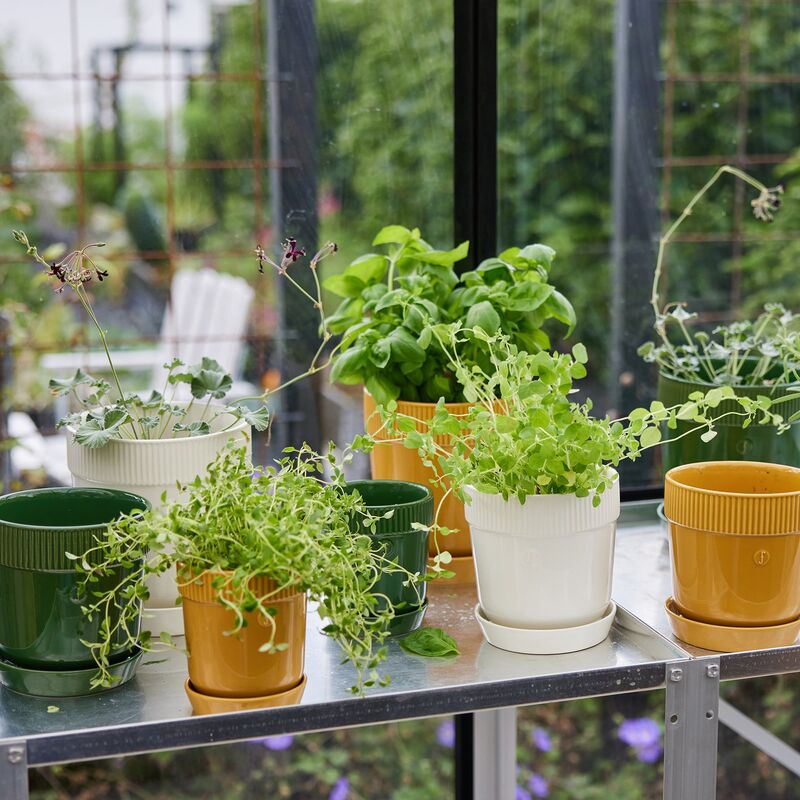 Elise örtkruka 11 cm, vit