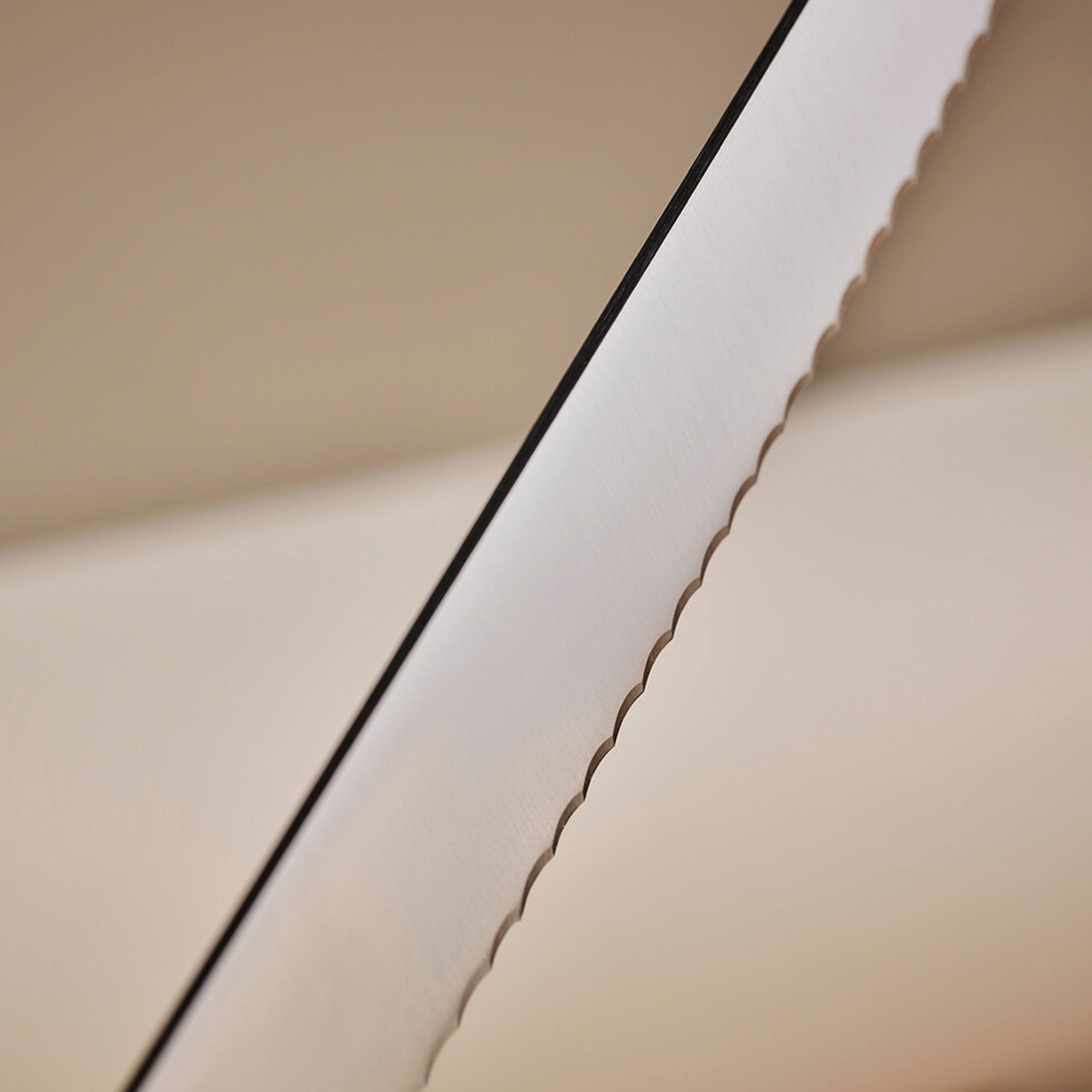 sekiryu-60230108-67790-5