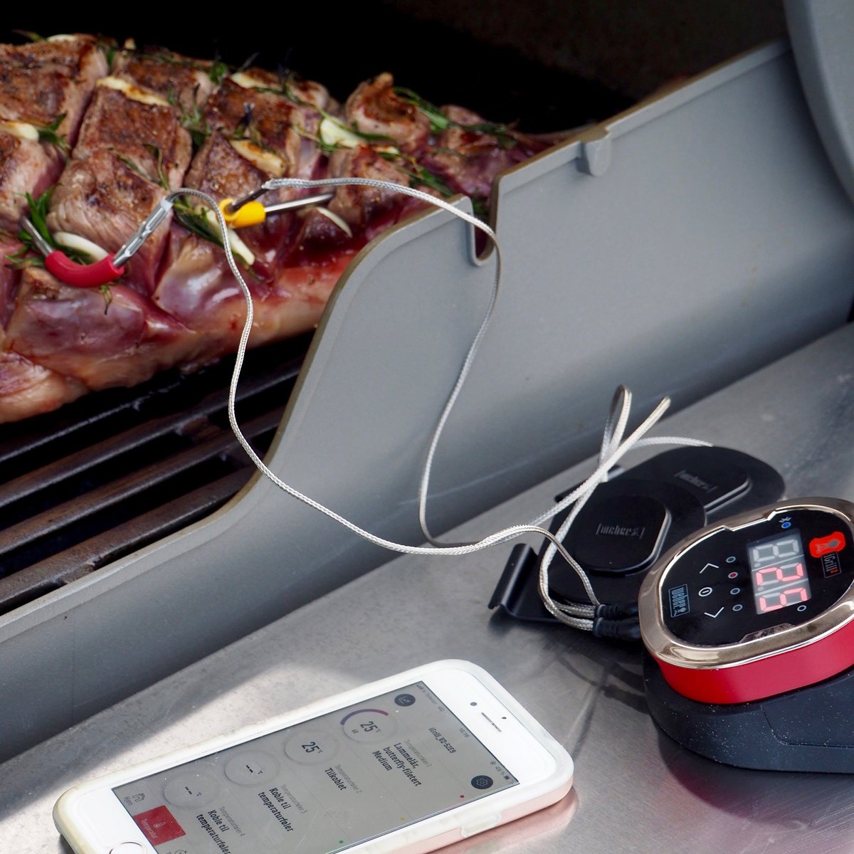 iGrill 2 stegetermometer