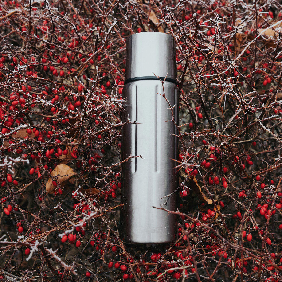 SIGG Gemstone IBT termoflaske 0,75 liter, selenite