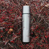 SIGG Gemstone IBT termoflaske 0,75 liter, selenite