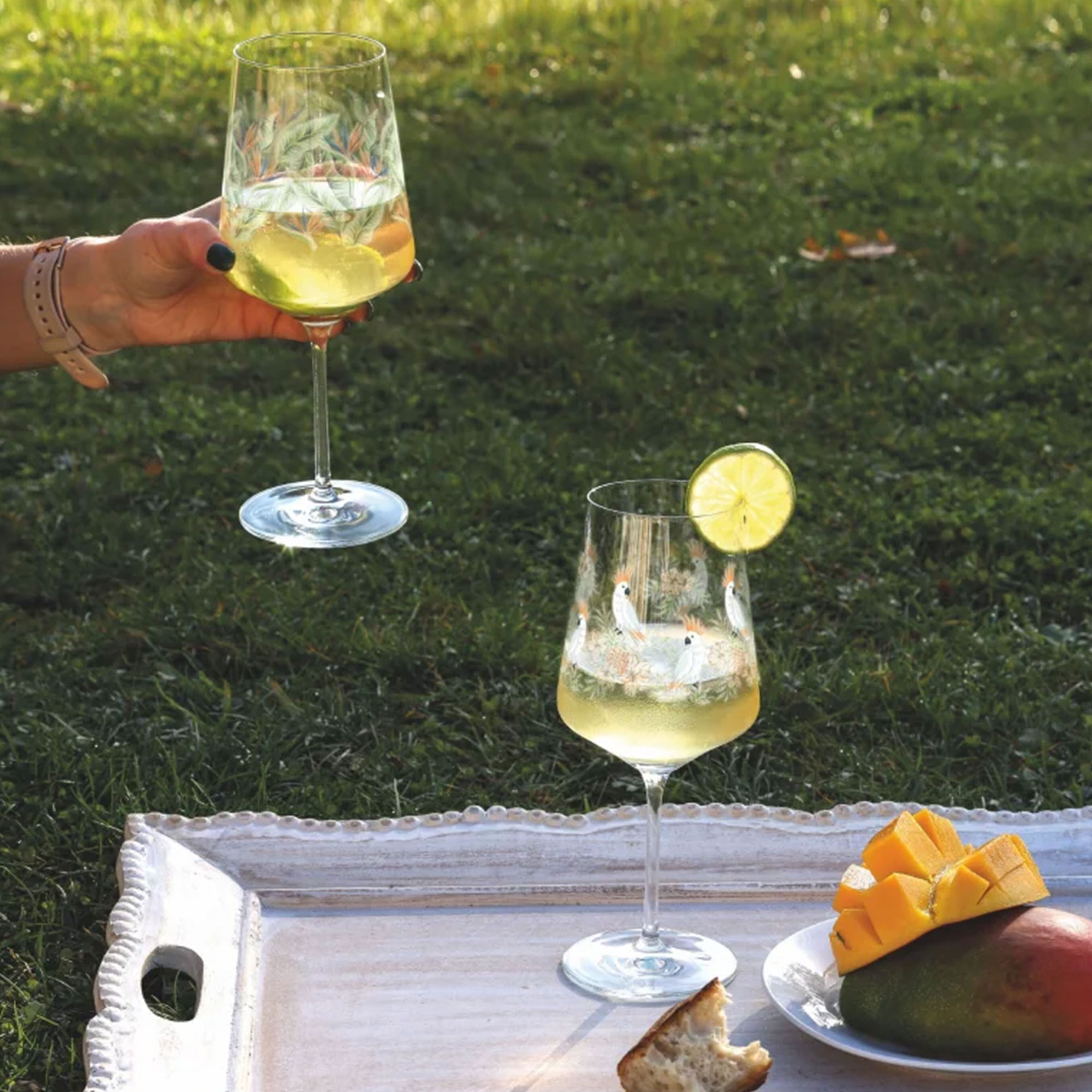 Viinilasi Sommertau Parrot Viinilasi, 2-pakkaus