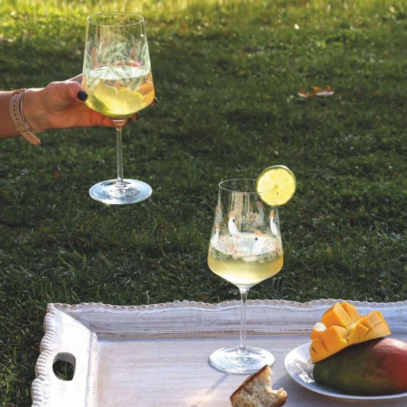 Viinilasi Sommertau Parrot Viinilasi, 2-pakkaus