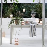 Grand Cru -lautanen, valkoinen Ø 23 cm 4 kpl.