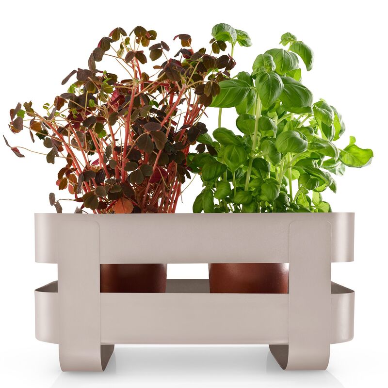 Selvvandende Herb Organiser stål, sand