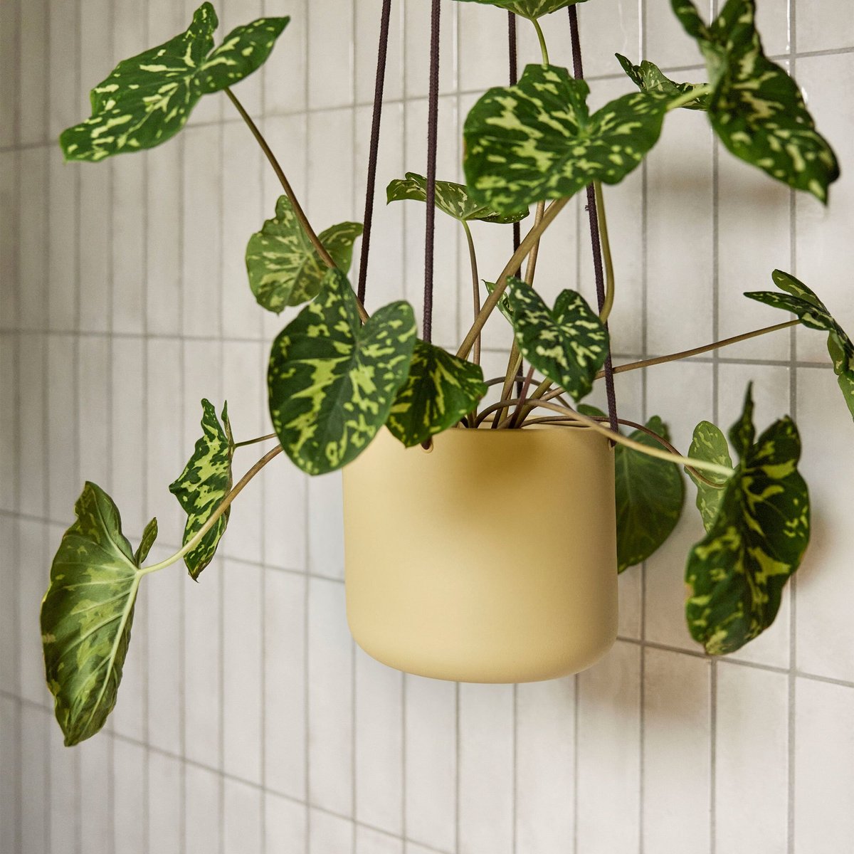 Bloom hengende blomsterpotte 3 stk, beige