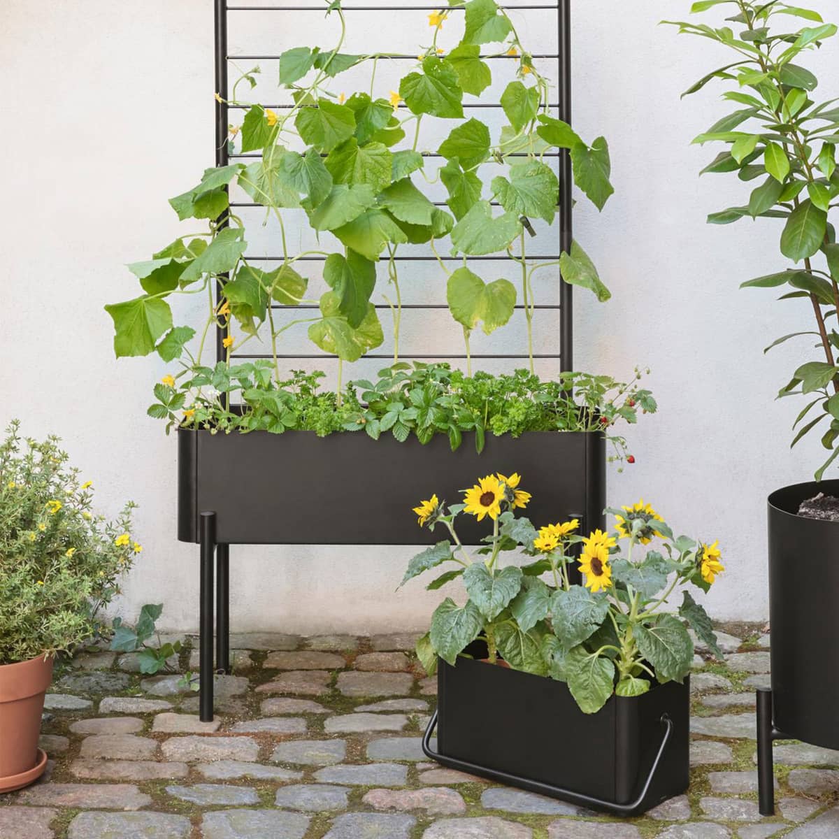 Eva Solo Simply Grow Parvekelaatikko