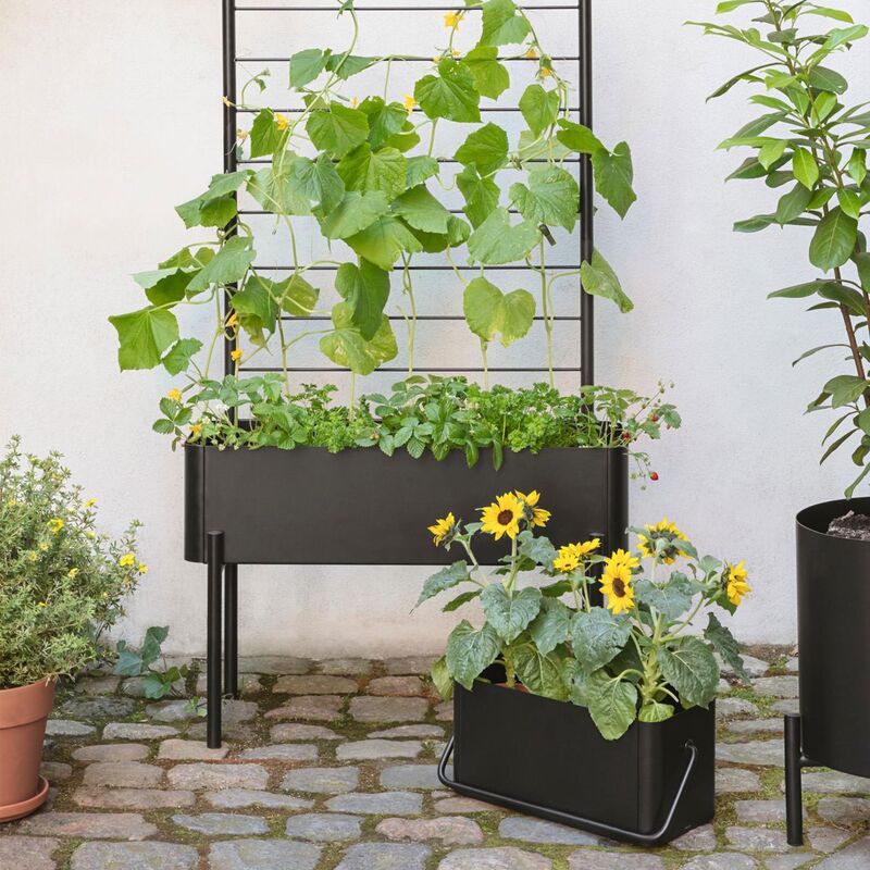 Simply Grow Altankasse