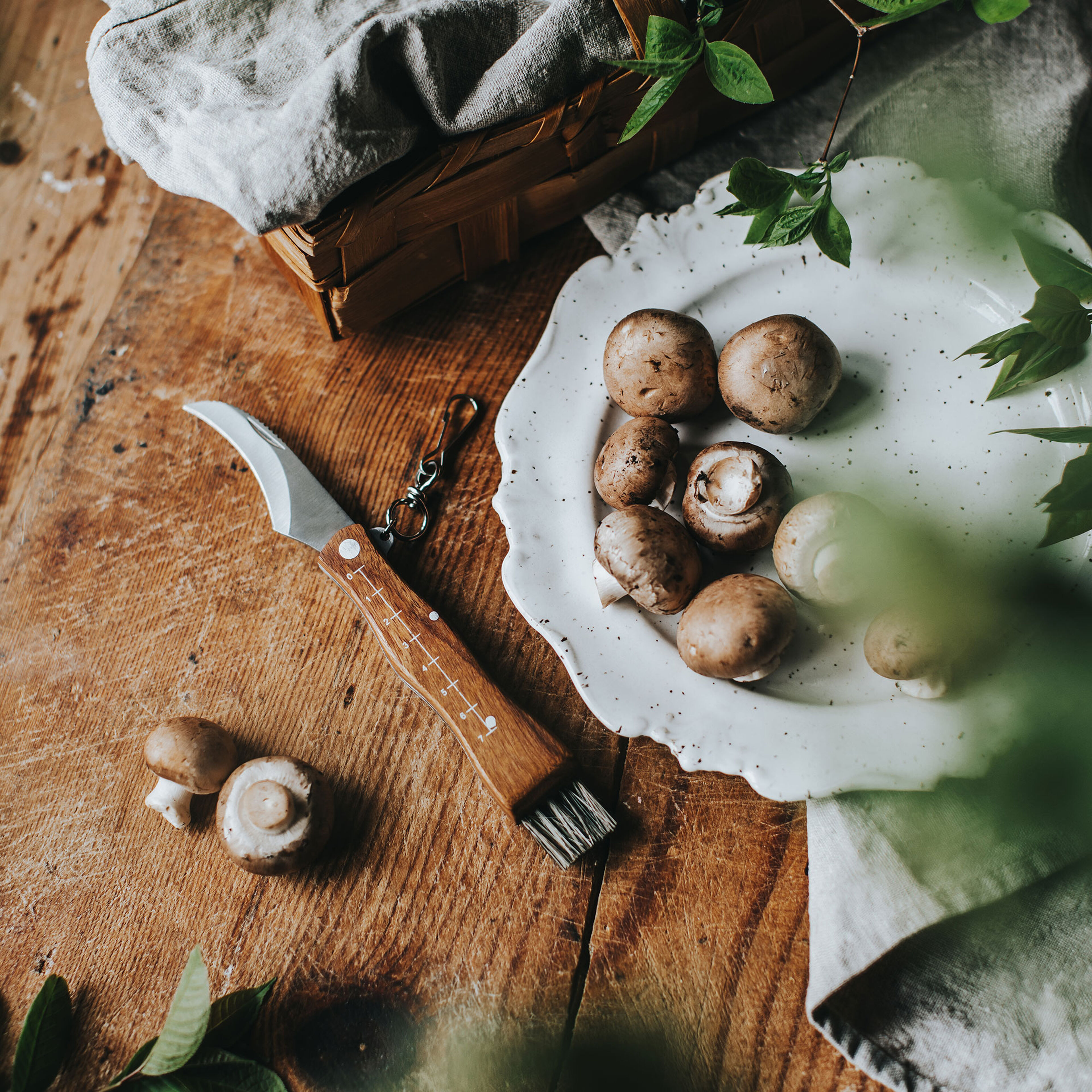 Stuti svampekniv med træhåndtag og børste