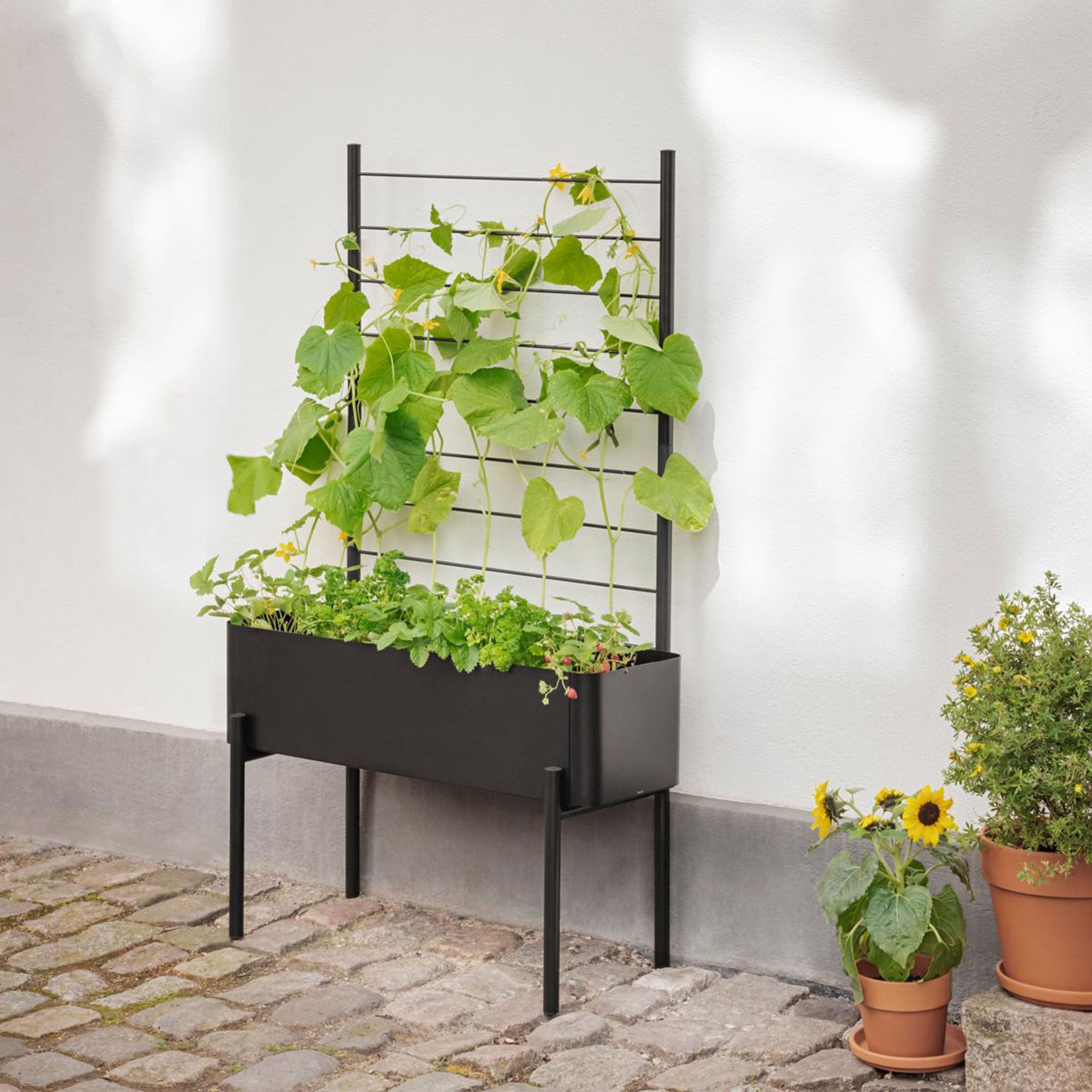 eva-solo-simply-grow-espalier-til-plantekasse-741010013-67120-4