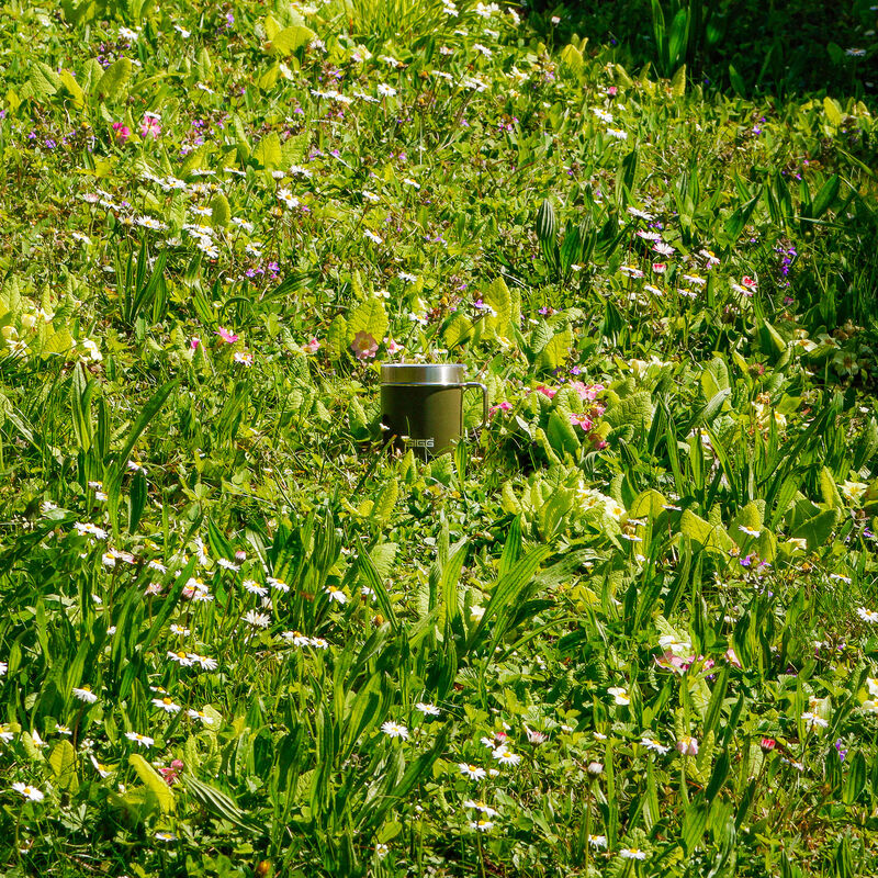 SIGG Termokopp 0,3 liter, roasted green