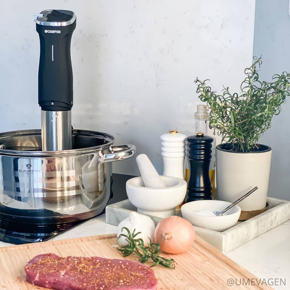 Sous Vide Precision Circulator