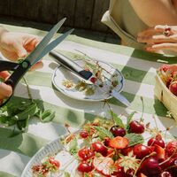 Fiskars Skrellekniv Functional Form 8 cm