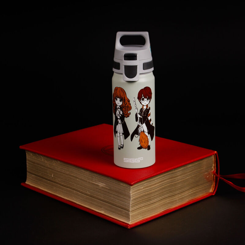 SIGG Warner Bros WMB ONE flaska 0,6 liter, Stand Together