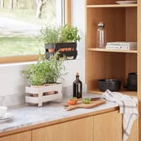 Selvvandende Herb Organiser stål, sort