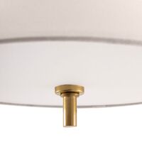 Iris pendellampe 25 cm, creme