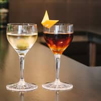 Perfect Serve Nick & Nora glas 15 cl