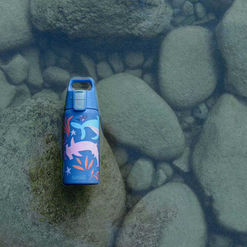 SIGG Shield Therm ONE børnetermosflaske 0,5 liter, blue world