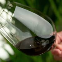 Performance Cabernet/Merlot vinglas 4-pack