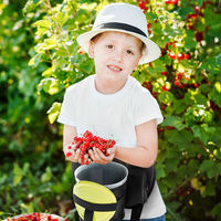 Bærplukkerbelte + bøtte, 3,6 liter