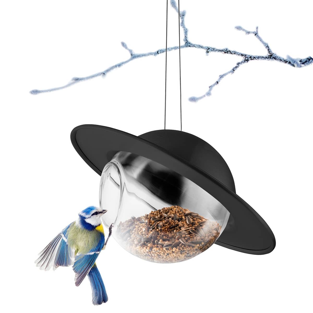 Saturn fågelmatare, svart