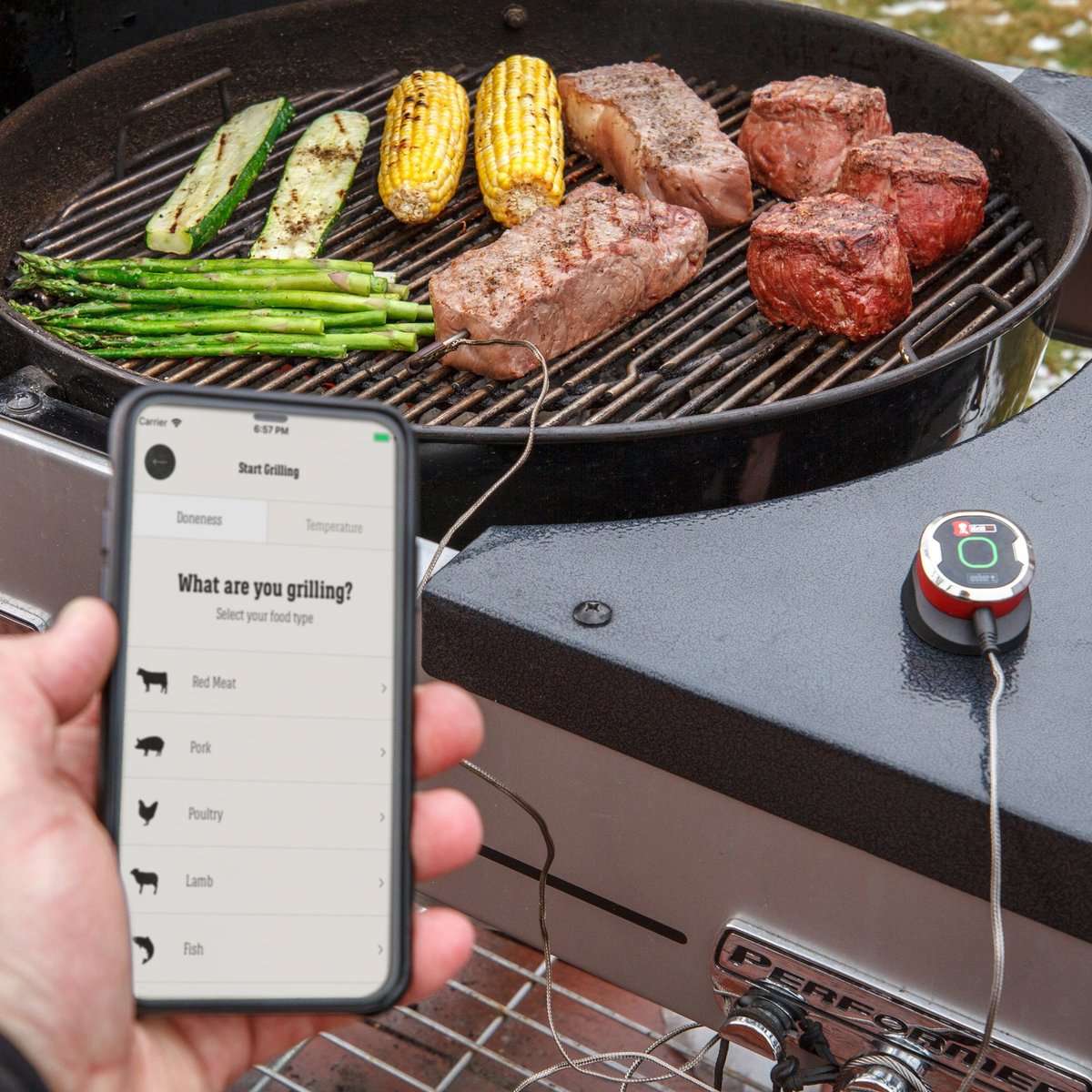 iGrill Mini