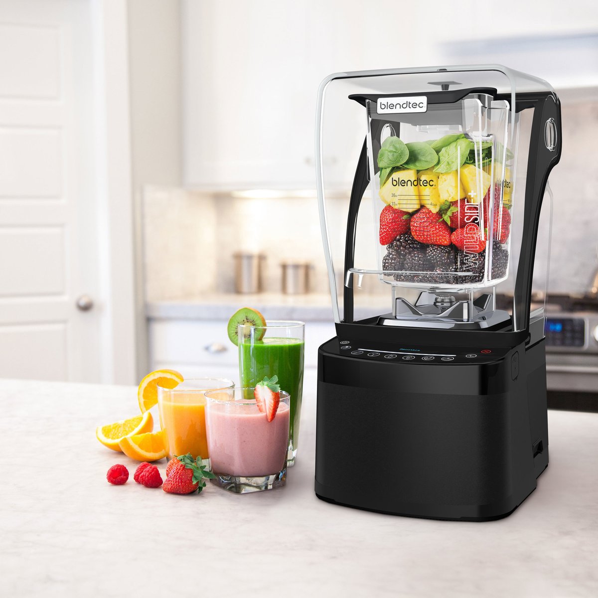 Pro 800 blender