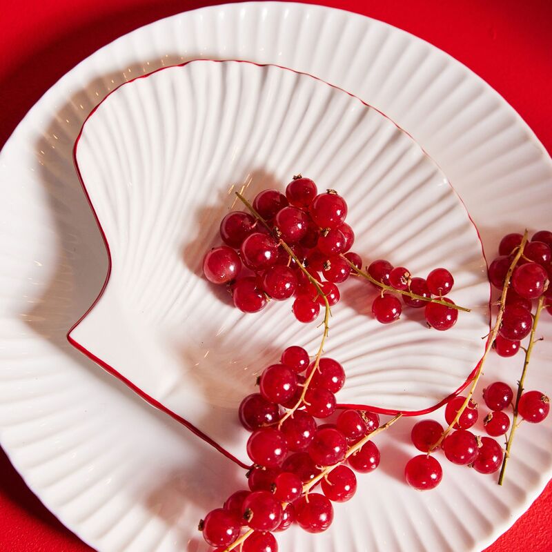 Shell Line asjett 16 x 13 cm