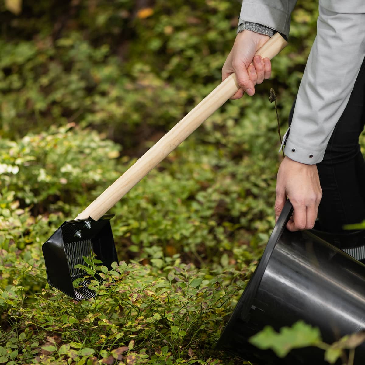 Pro Harvester bærrive