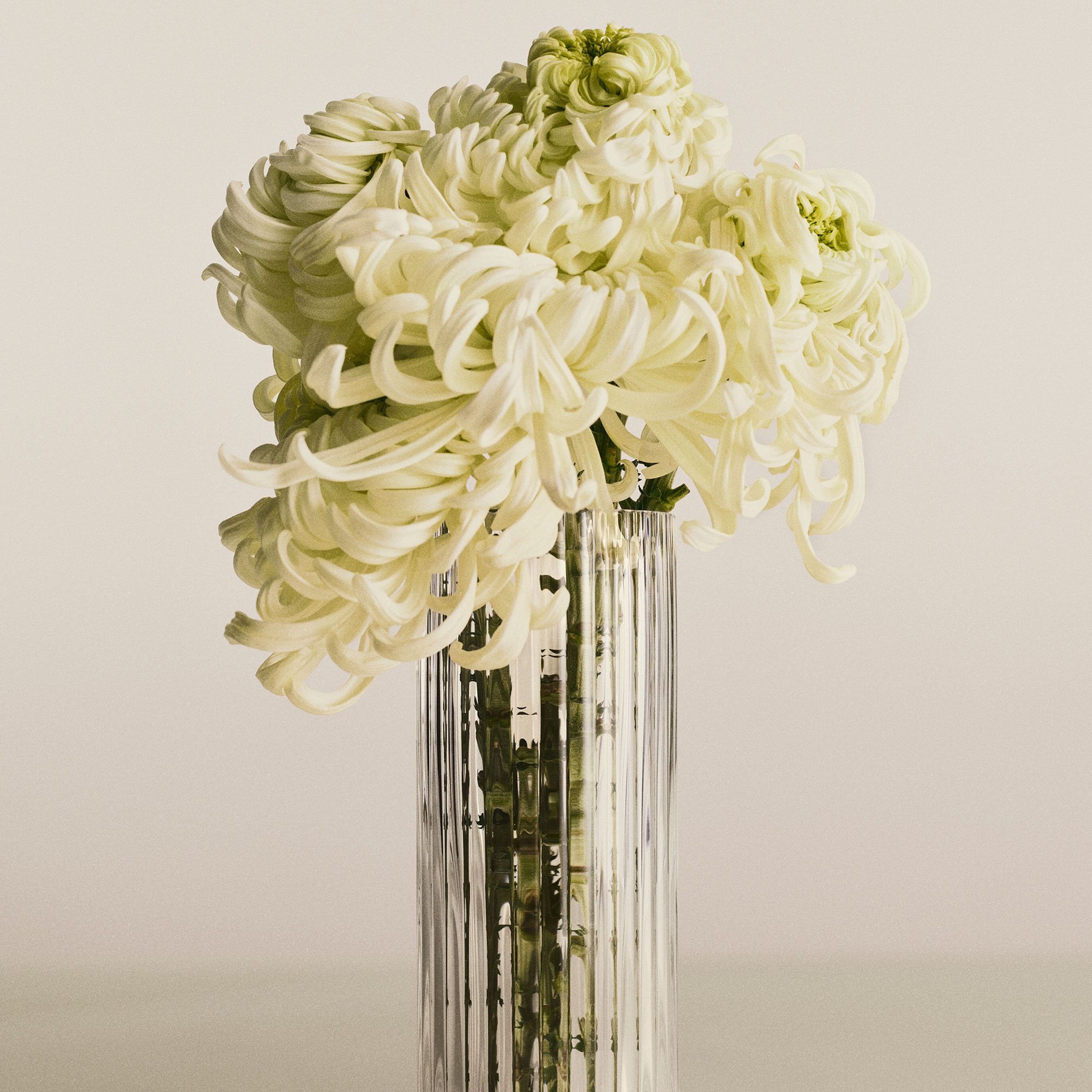 Bernadotte Rund vase