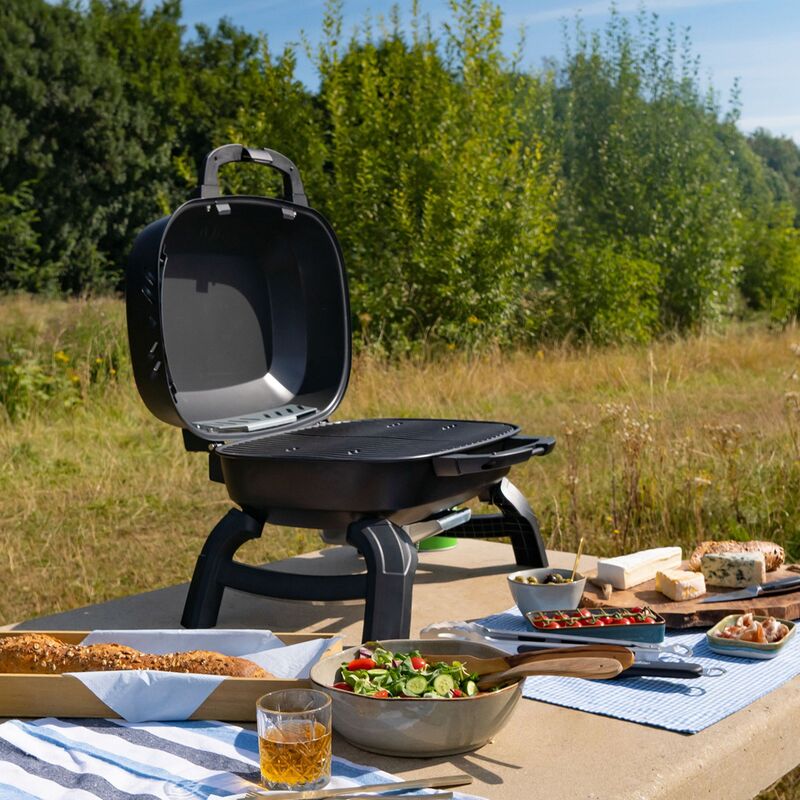 TQ240 portabel gasolgrill