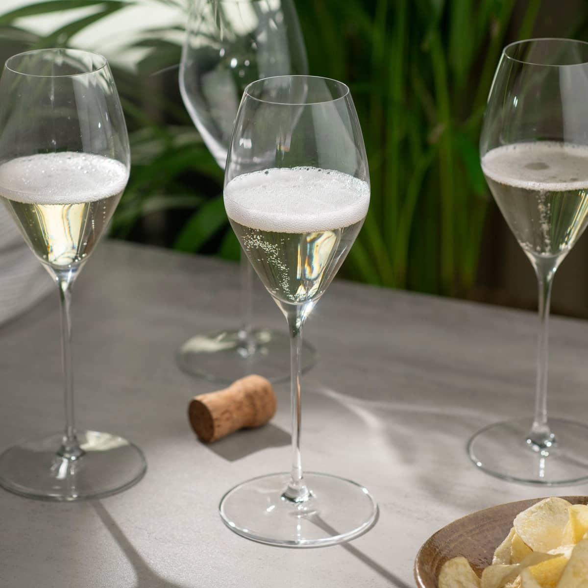 Performance champagneglass 4-pakning