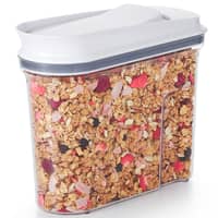 POP container 2,3 L